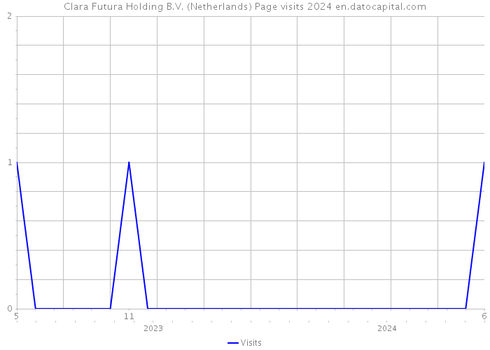 Clara Futura Holding B.V. (Netherlands) Page visits 2024 