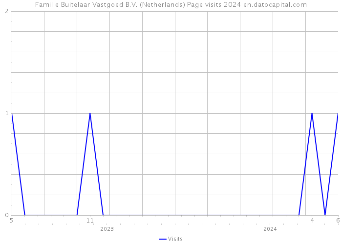 Familie Buitelaar Vastgoed B.V. (Netherlands) Page visits 2024 