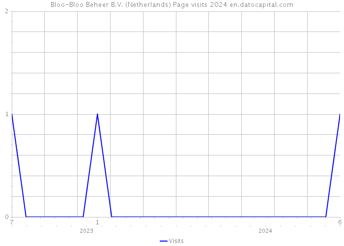 Bloo-Bloo Beheer B.V. (Netherlands) Page visits 2024 