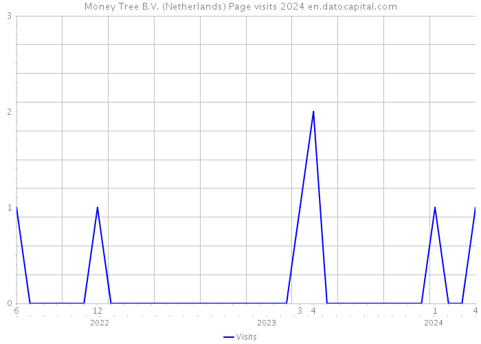 Money Tree B.V. (Netherlands) Page visits 2024 