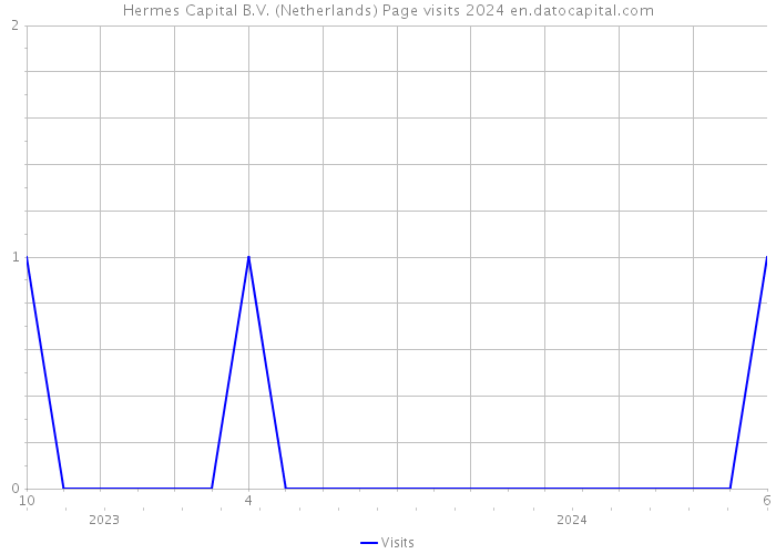 Hermes Capital B.V. (Netherlands) Page visits 2024 