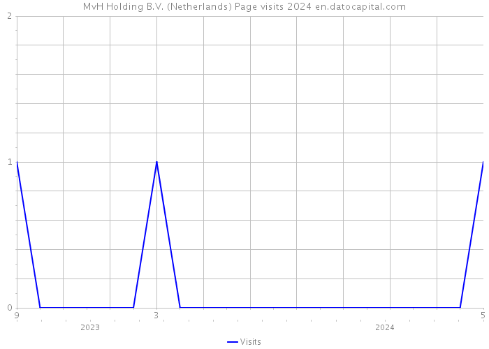 MvH Holding B.V. (Netherlands) Page visits 2024 