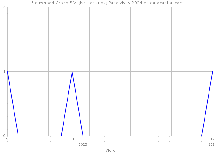 Blauwhoed Groep B.V. (Netherlands) Page visits 2024 