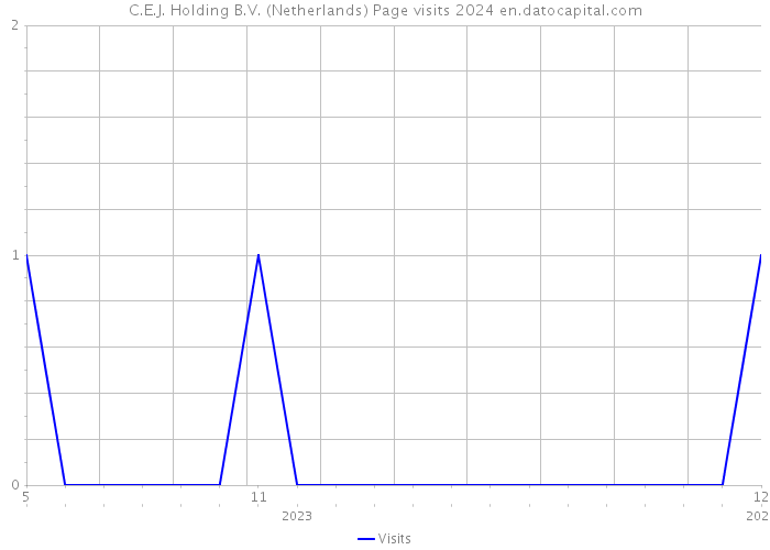 C.E.J. Holding B.V. (Netherlands) Page visits 2024 