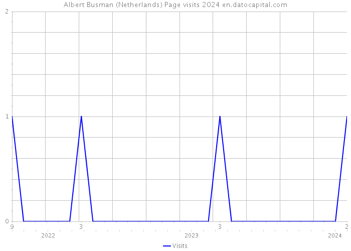 Albert Busman (Netherlands) Page visits 2024 
