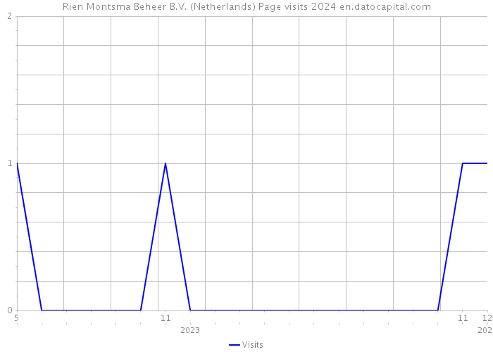 Rien Montsma Beheer B.V. (Netherlands) Page visits 2024 