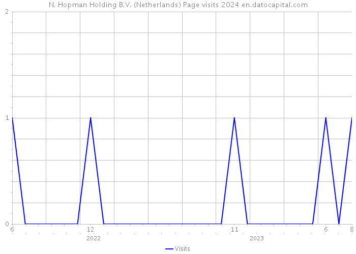 N. Hopman Holding B.V. (Netherlands) Page visits 2024 