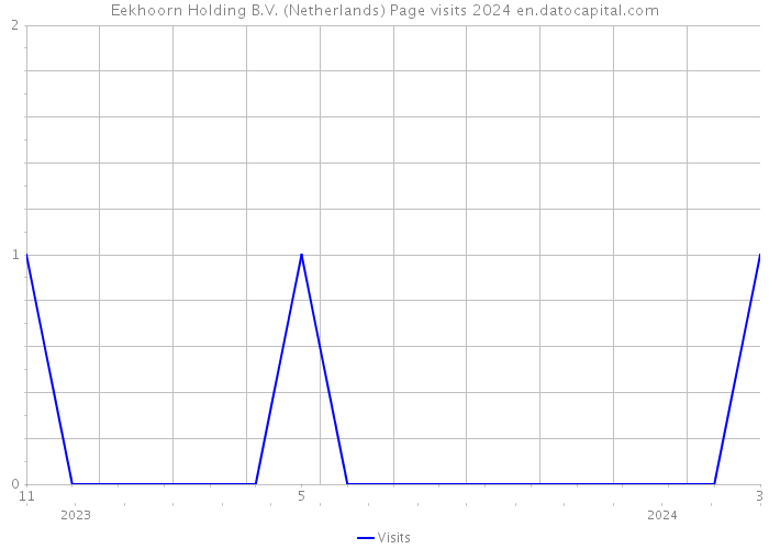 Eekhoorn Holding B.V. (Netherlands) Page visits 2024 