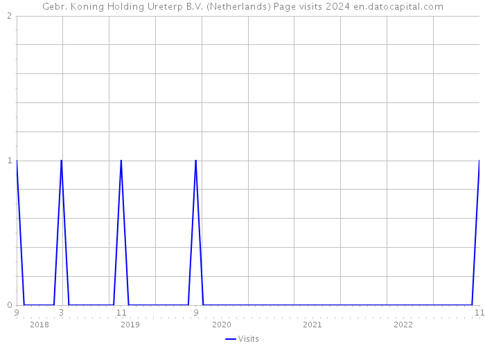 Gebr. Koning Holding Ureterp B.V. (Netherlands) Page visits 2024 
