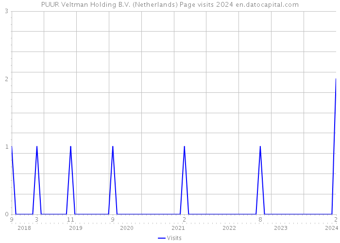 PUUR Veltman Holding B.V. (Netherlands) Page visits 2024 