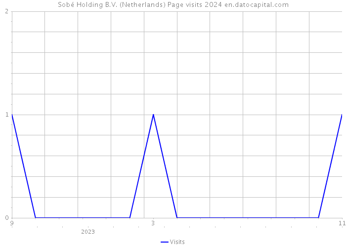 Sobé Holding B.V. (Netherlands) Page visits 2024 