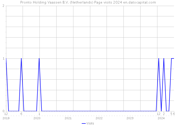 Pronto Holding Vaassen B.V. (Netherlands) Page visits 2024 