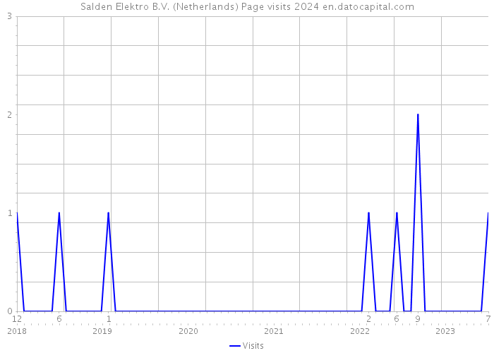 Salden Elektro B.V. (Netherlands) Page visits 2024 