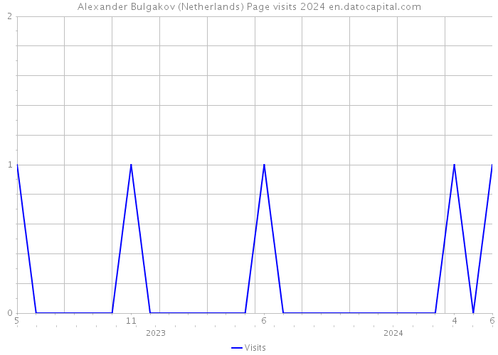 Alexander Bulgakov (Netherlands) Page visits 2024 