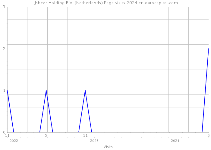 IJsbeer Holding B.V. (Netherlands) Page visits 2024 