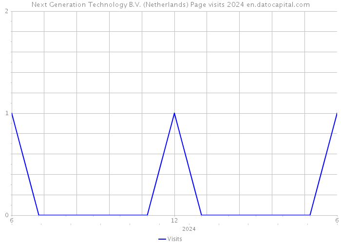 Next Generation Technology B.V. (Netherlands) Page visits 2024 
