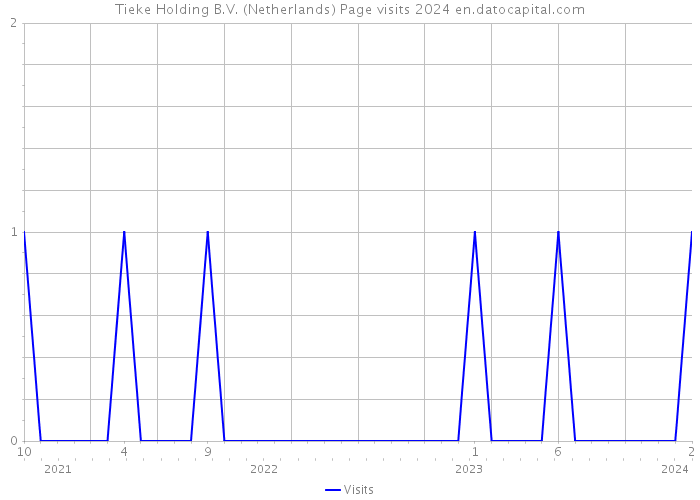 Tieke Holding B.V. (Netherlands) Page visits 2024 