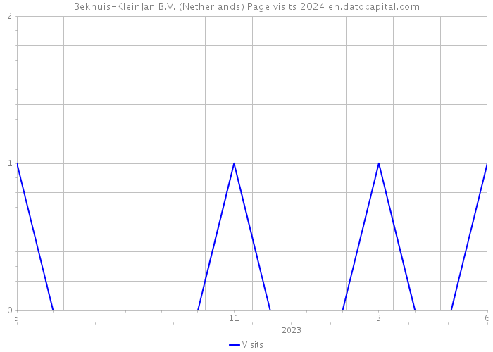 Bekhuis-KleinJan B.V. (Netherlands) Page visits 2024 