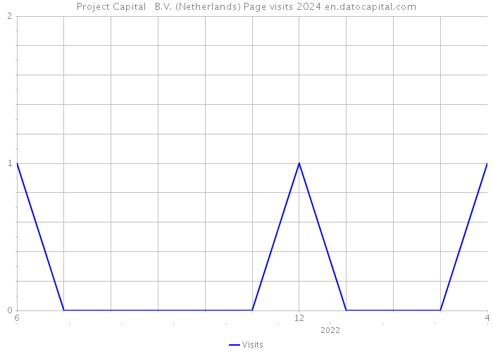 Project Capital + B.V. (Netherlands) Page visits 2024 