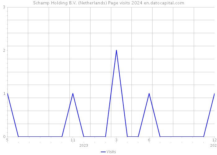 Schamp Holding B.V. (Netherlands) Page visits 2024 