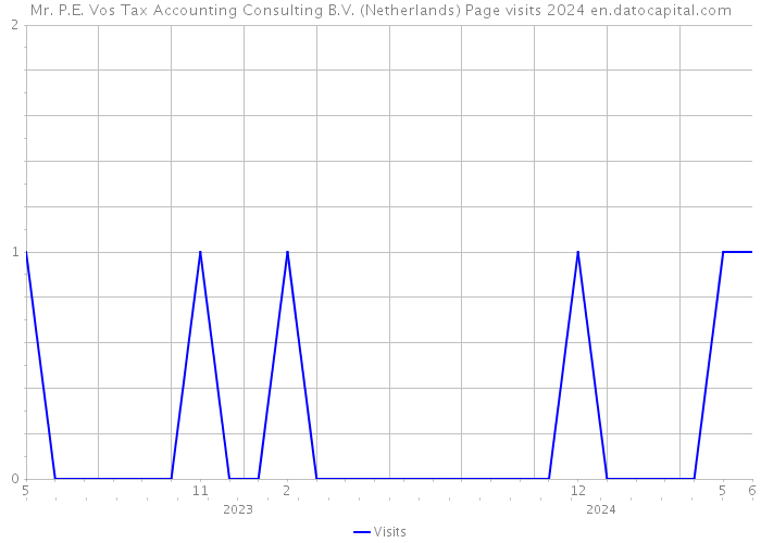 Mr. P.E. Vos Tax Accounting Consulting B.V. (Netherlands) Page visits 2024 
