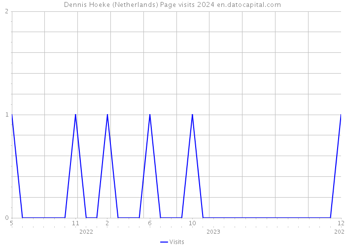 Dennis Hoeke (Netherlands) Page visits 2024 