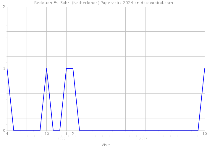 Redouan Es-Sabri (Netherlands) Page visits 2024 