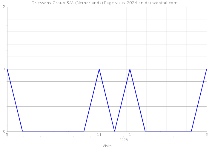 Driessens Group B.V. (Netherlands) Page visits 2024 