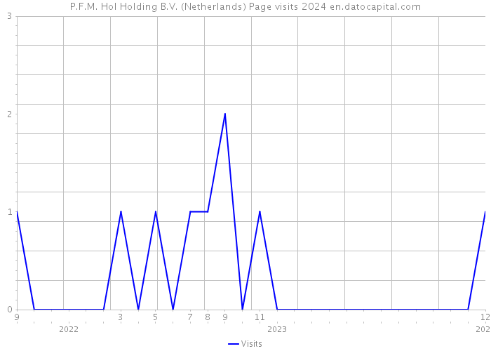 P.F.M. Hol Holding B.V. (Netherlands) Page visits 2024 