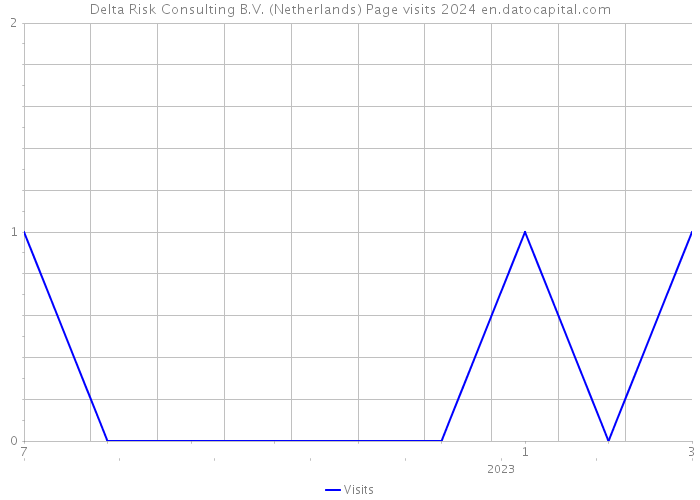 Delta Risk Consulting B.V. (Netherlands) Page visits 2024 