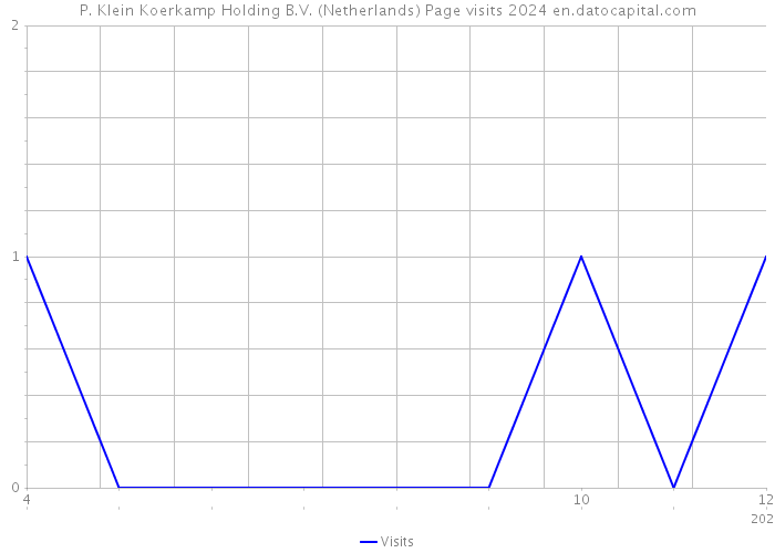 P. Klein Koerkamp Holding B.V. (Netherlands) Page visits 2024 