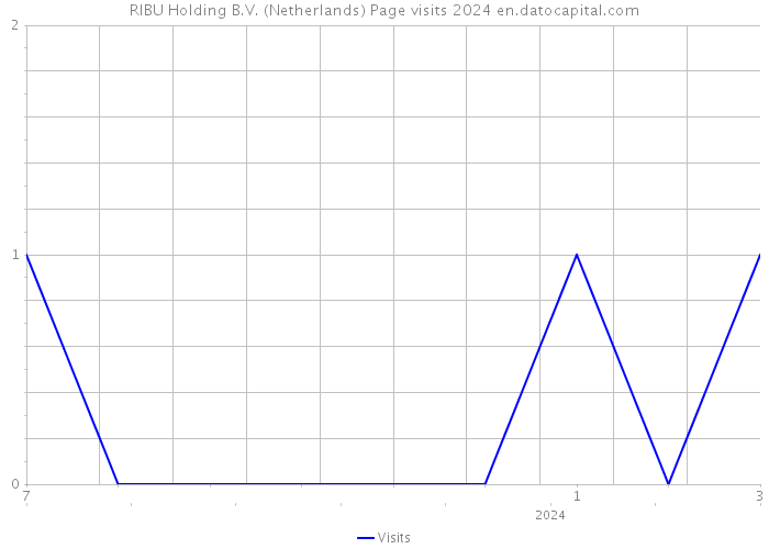 RIBU Holding B.V. (Netherlands) Page visits 2024 