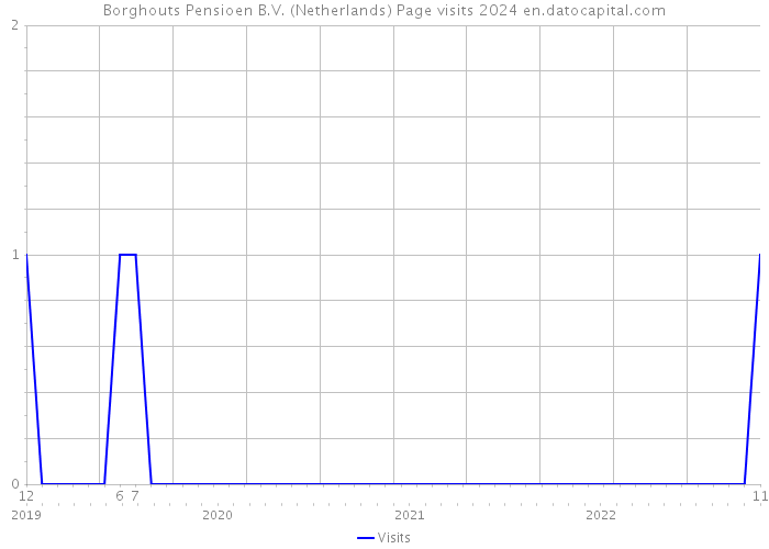 Borghouts Pensioen B.V. (Netherlands) Page visits 2024 
