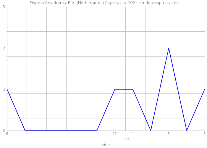 Fisuma Resultancy B.V. (Netherlands) Page visits 2024 