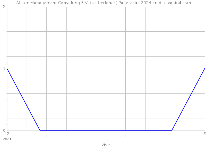 Allium Management Consulting B.V. (Netherlands) Page visits 2024 
