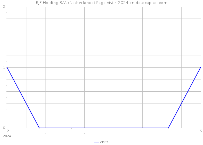 BJF Holding B.V. (Netherlands) Page visits 2024 