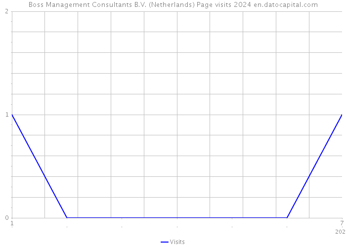Boss Management Consultants B.V. (Netherlands) Page visits 2024 