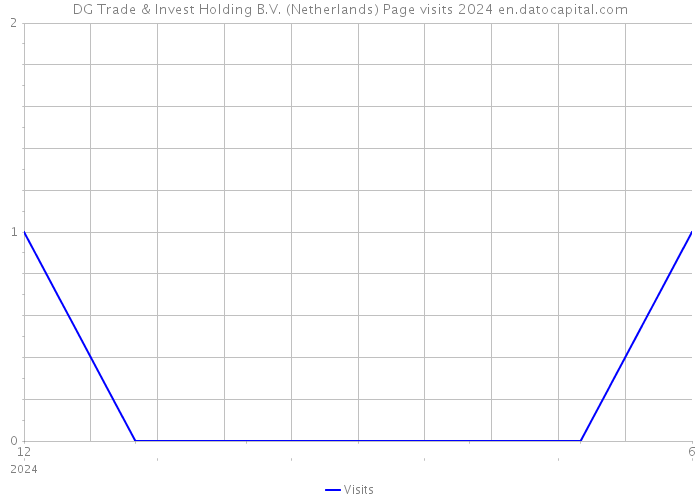 DG Trade & Invest Holding B.V. (Netherlands) Page visits 2024 