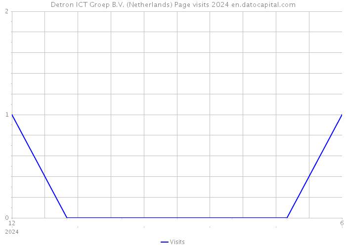 Detron ICT Groep B.V. (Netherlands) Page visits 2024 