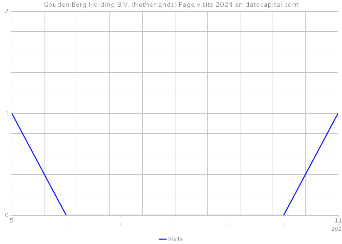 Gouden Berg Holding B.V. (Netherlands) Page visits 2024 