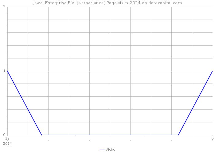 Jewel Enterprise B.V. (Netherlands) Page visits 2024 