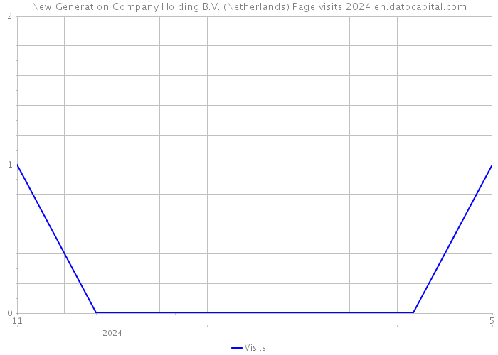 New Generation Company Holding B.V. (Netherlands) Page visits 2024 