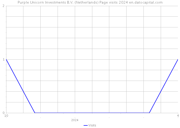 Purple Unicorn Investments B.V. (Netherlands) Page visits 2024 