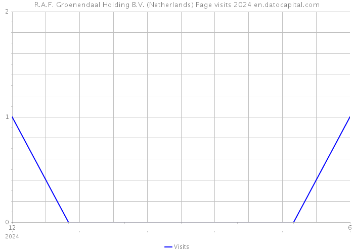 R.A.F. Groenendaal Holding B.V. (Netherlands) Page visits 2024 