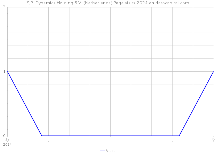 SJP-Dynamics Holding B.V. (Netherlands) Page visits 2024 