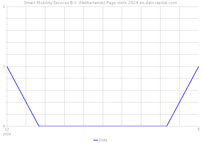 Smart Mobility Services B.V. (Netherlands) Page visits 2024 