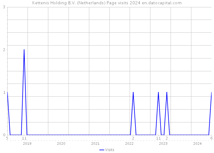 Kettenis Holding B.V. (Netherlands) Page visits 2024 