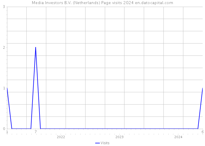 Media Investors B.V. (Netherlands) Page visits 2024 