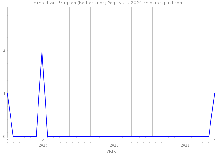 Arnold van Bruggen (Netherlands) Page visits 2024 