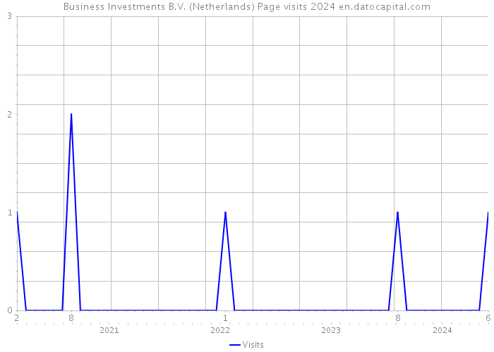 Business Investments B.V. (Netherlands) Page visits 2024 